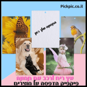 עץ ריח ממותג עם תמונה 3 יחידות