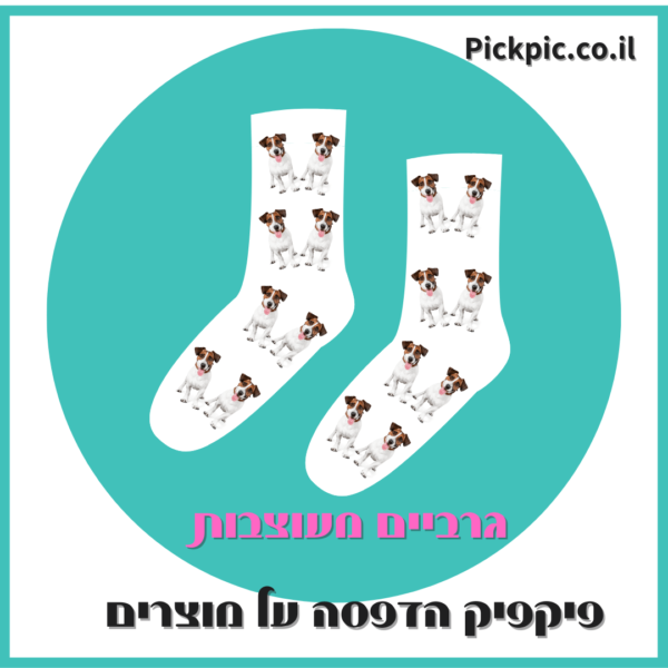 הדפסה על גרביים עם פרצוף כלב